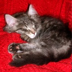 DSCF0202.JPG
